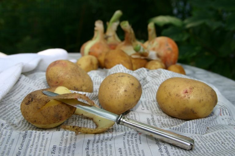 Ein traditionelles Hausmittel, das schon viele Veilchen abklingen ließ